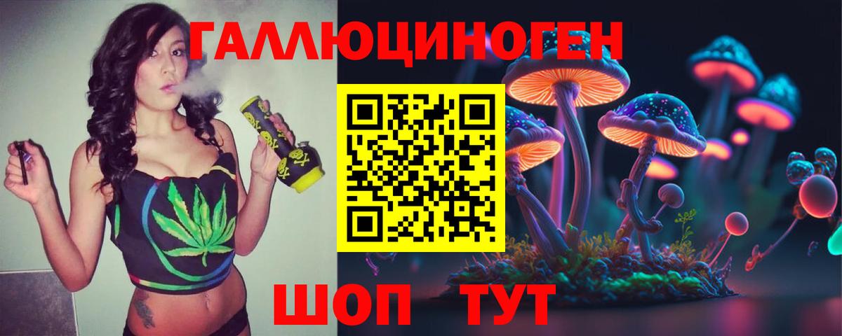 Галлюциногенные грибы ЛСД  Вход с VPN  наркота  Галлюциногенные грибы GOLDEN TEACHER  Биробиджан 